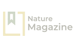 Blogs Featured in Nature Magazine